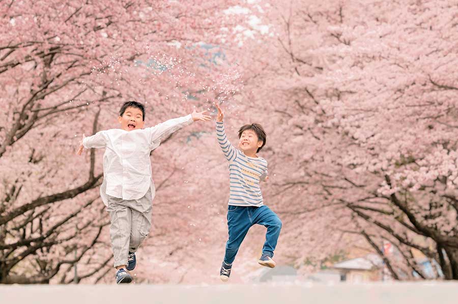 入学写真　桜