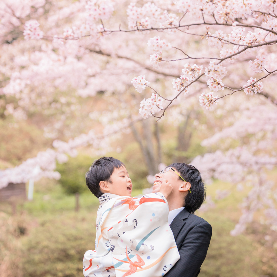 桜と七五三 福岡　香椎宮