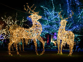 クリスマス イルミネーション撮影会🌲✨